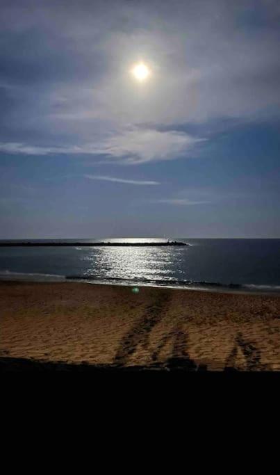 Studio Climatise Proche De Montpellier Et Des Plages Villeneuve-lès-Maguelonne Exterior foto